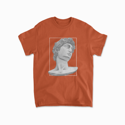 David of Michelangelo T Shirt Ancient Greek Roman Statue Aesthetics Cotton Trendy Printed T-shirt Top Tee for Men & Woman