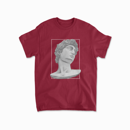 David of Michelangelo T Shirt Ancient Greek Roman Statue Aesthetics Cotton Trendy Printed T-shirt Top Tee for Men & Woman