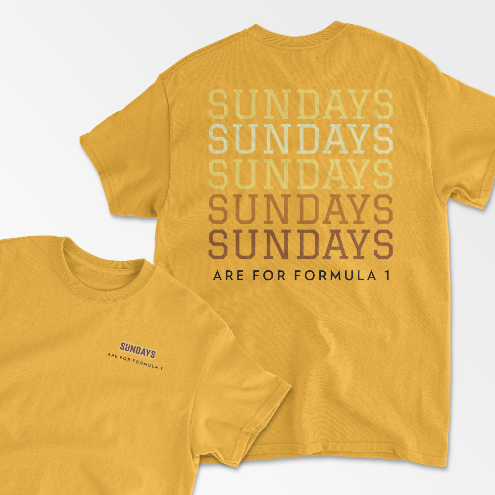 Sundays Are For F1 T-Shirt Formula Race Tee F1 Gift Racing Inspired Clothing GP Shirt Aesthetic Racing Cotton TShirt