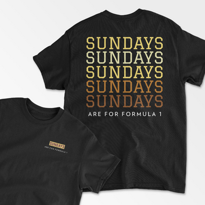 Sundays Are For F1 T-Shirt Formula Race Tee F1 Gift Racing Inspired Clothing GP Shirt Aesthetic Racing Cotton TShirt