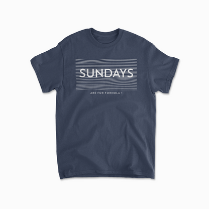 Sundays Are For F1 TShirt Formula Race Tee F1 Gift Racing Inspired Clothing GP Shirt Aesthetic Racing Cotton TShirt