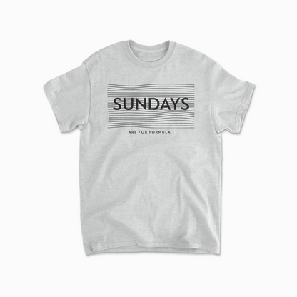 Sundays Are For F1 TShirt Formula Race Tee F1 Gift Racing Inspired Clothing GP Shirt Aesthetic Racing Cotton TShirt