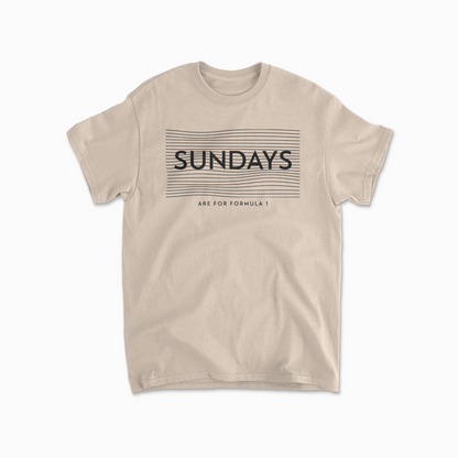 Sundays Are For F1 TShirt Formula Race Tee F1 Gift Racing Inspired Clothing GP Shirt Aesthetic Racing Cotton TShirt